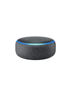 Smart Speaker 6
